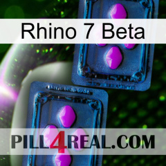 Rhino 7 Beta 03